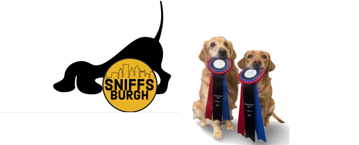 Scentwork Sniffs Burgh