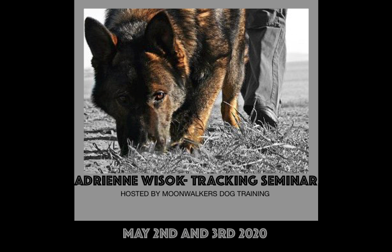 Adrienne Wisok Tracking Seminar 